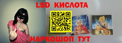 стаф Шебекино
