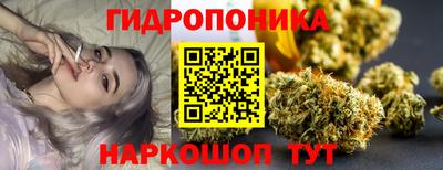 apvp Шахты