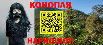 стаф Шебекино