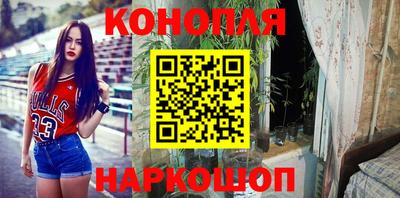 стаф Шебекино