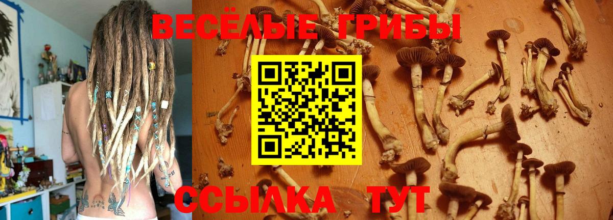 Когалым  купить наркотик  Вход с VPN  Псилоцибиновые грибы мицелий 